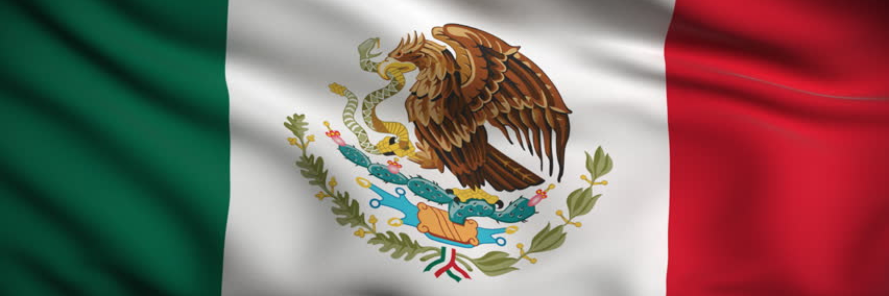 Lexique Juridique Mexicain